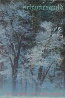 Schwarzwald Trailer