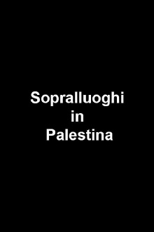 Scouting in Palestine Trailer