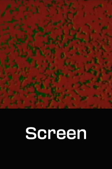 Screen Trailer