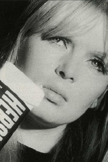Screen Test  [ST245]: Nico (Hershey) Trailer