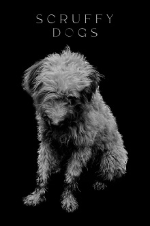 Scruffy Dogs Trailer
