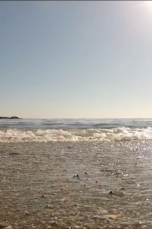 Sea Trailer