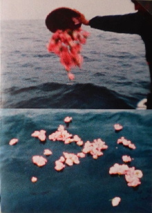 Sea and Flowers Trailer