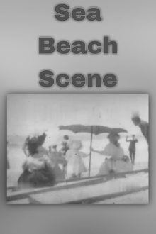 Sea Beach Scene Trailer