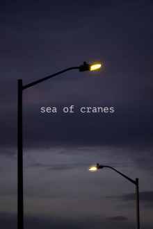 Sea of Cranes Trailer