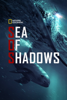 Sea of Shadows Trailer