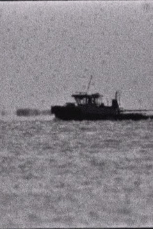 Sea Series #19 Trailer