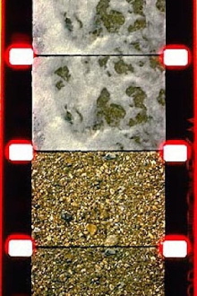 Sea/Shore Trailer