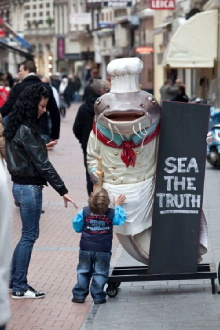 Sea the Truth Trailer