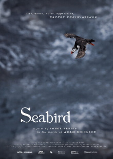 Seabird Trailer