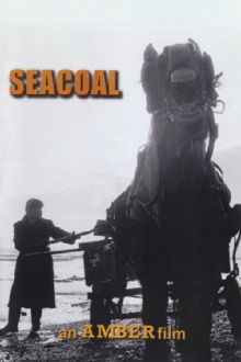 Seacoal Trailer