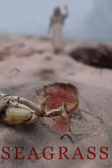 Seagrass Trailer
