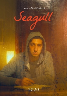 Seagull Trailer