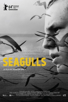 Seagulls Trailer