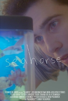 Seahorse Trailer