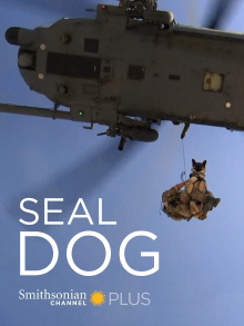 SEAL Dog Trailer