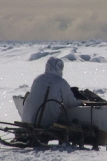 Seal Hunt Trailer