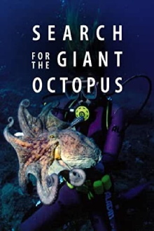Search for the Giant Octopus Trailer