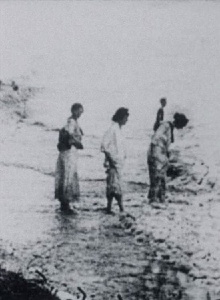 Seashore Trailer