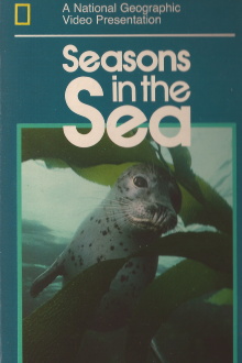 Seasons in the Sea Trailer