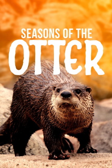 Seasons of the Otter Trailer