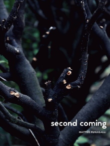 Second coming Trailer