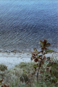 Seconda passeggiata - La casa in riva al mare Trailer