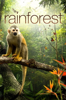 Secret Life of the Rainforest Trailer