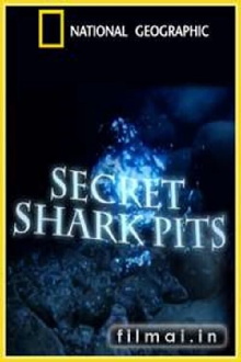Secret Shark Pits Trailer