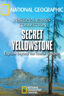 Secret Yellowstone Trailer