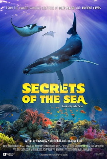 Secrets of the Sea Trailer