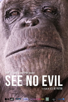 See No Evil Trailer