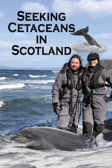 Seeking Cetaceans In Scotland Trailer