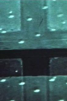 Self-Portrait Trailer