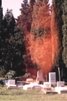 Self-Portrait at the Graveyard Trailer