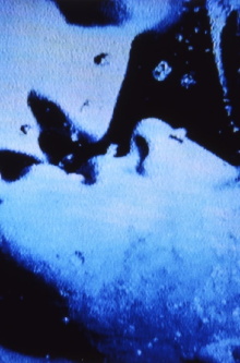 Self-Portrait in 23 Rounds: a Chapter in David Wojnarowicz’s Life, 1989–1991 Trailer