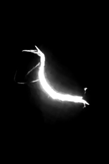 Sepmag Trailer
