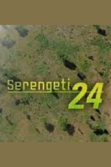 Serengeti 24 Trailer