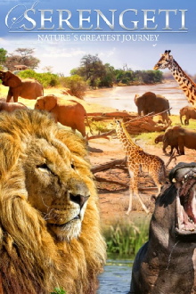 Serengeti: Nature's Greatest Journey Trailer