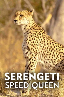 Serengeti Speed Queen Trailer