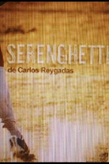 Serenghetti Trailer