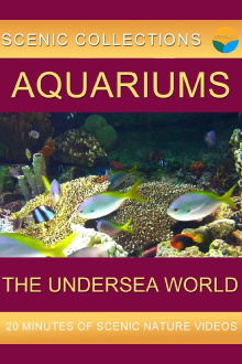 Serenity Channel - Aquariums Trailer