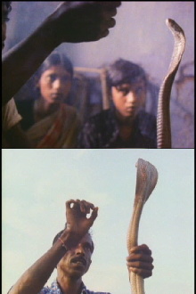 Serpent Mother Trailer