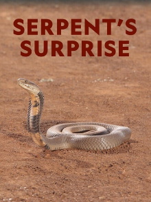 Serpents Surprise Trailer