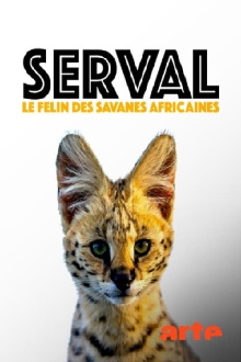 Servale - Afrikas unbekannte Katzen Trailer