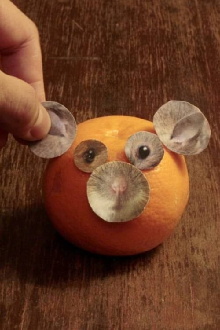 Set for Creating a Mouse Trailer