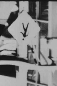 Seven Windsor Films Trailer