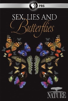 Sex, Lies and Butterflies Trailer