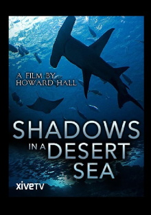 Shadows in a Desert Sea Trailer