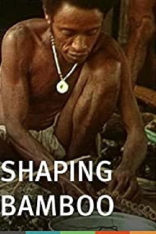 Shaping Bamboo Trailer